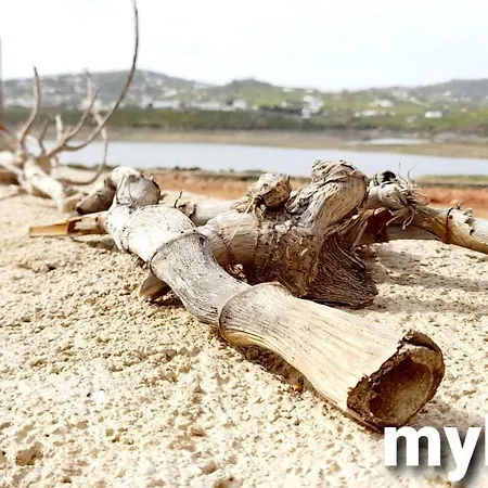 In Studio - Myloch Village Mykonos 1